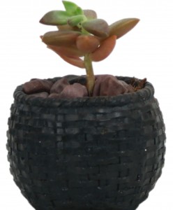 Mini Çiçek Saksı Küçük Sukulent Siyah Kaktüs Saksısı Sepet Örgü Saksı Model